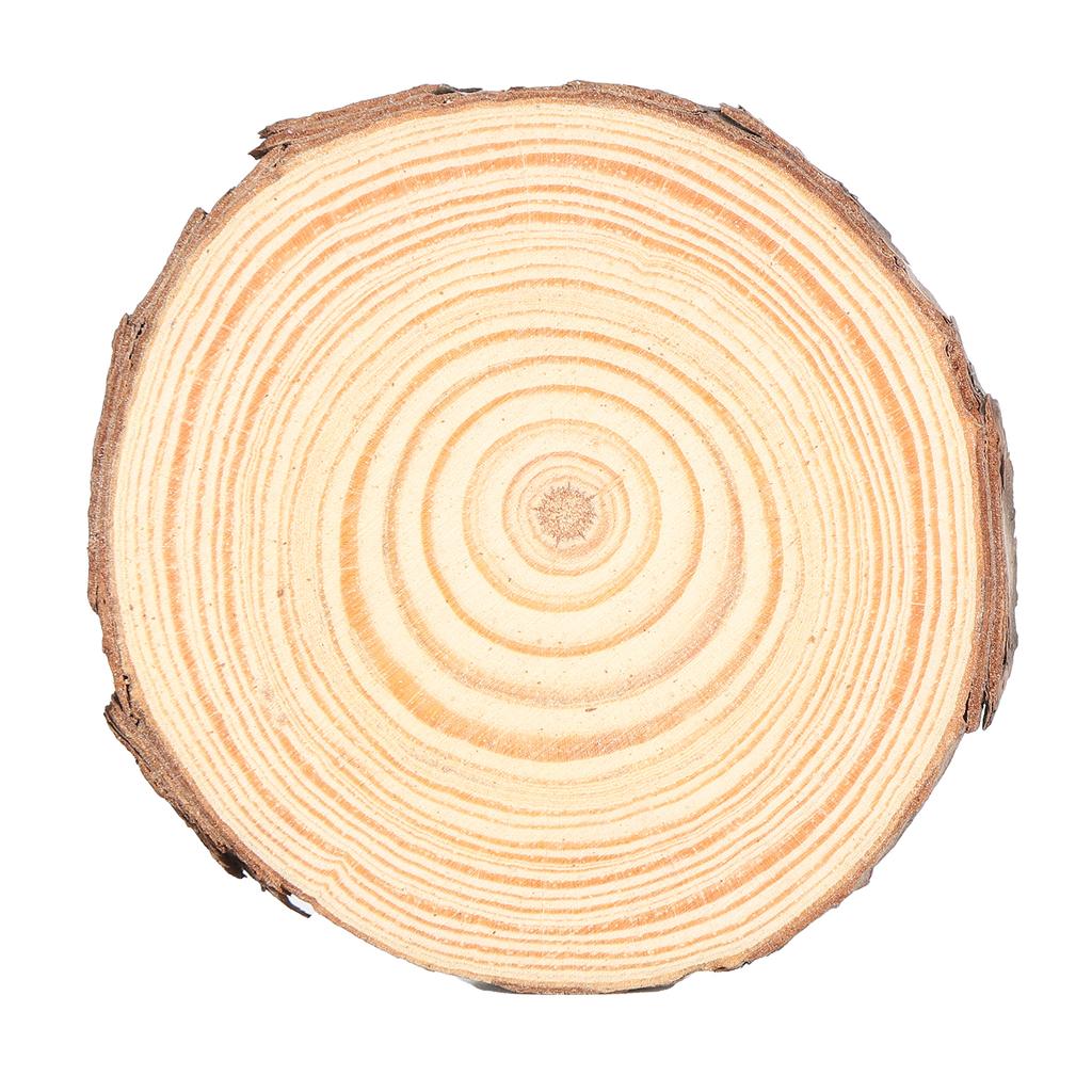 Natural Wood Slices Round Pine Logs DIY Crafts Painting Wedding Festivals Decoration5# 11-12cm