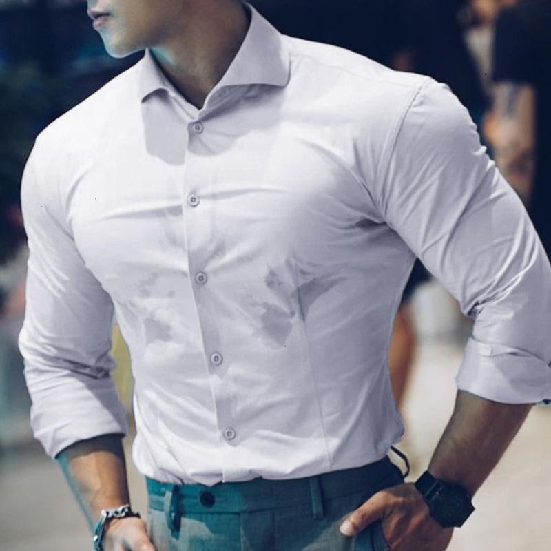 

Весна и лето 2023 Деловой досуг Приталенный Эластичный Воротник поло Однотонный Не требует глажки Устойчивый к сминанию Рубашка с внутренним слоем L белый