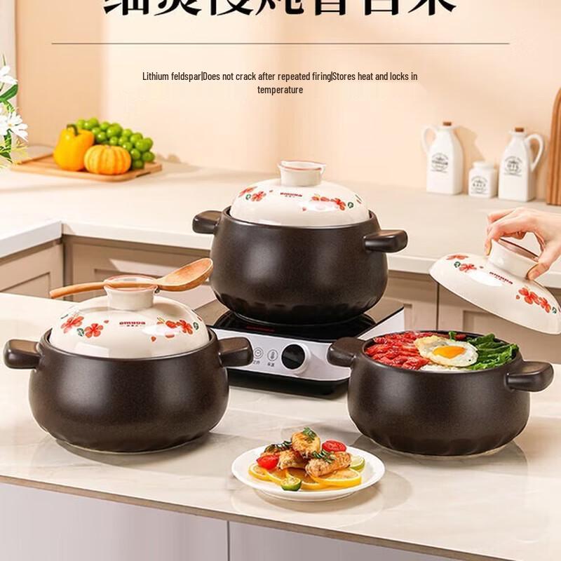 Oumeida High-Temperature Ceramic Clay Pot