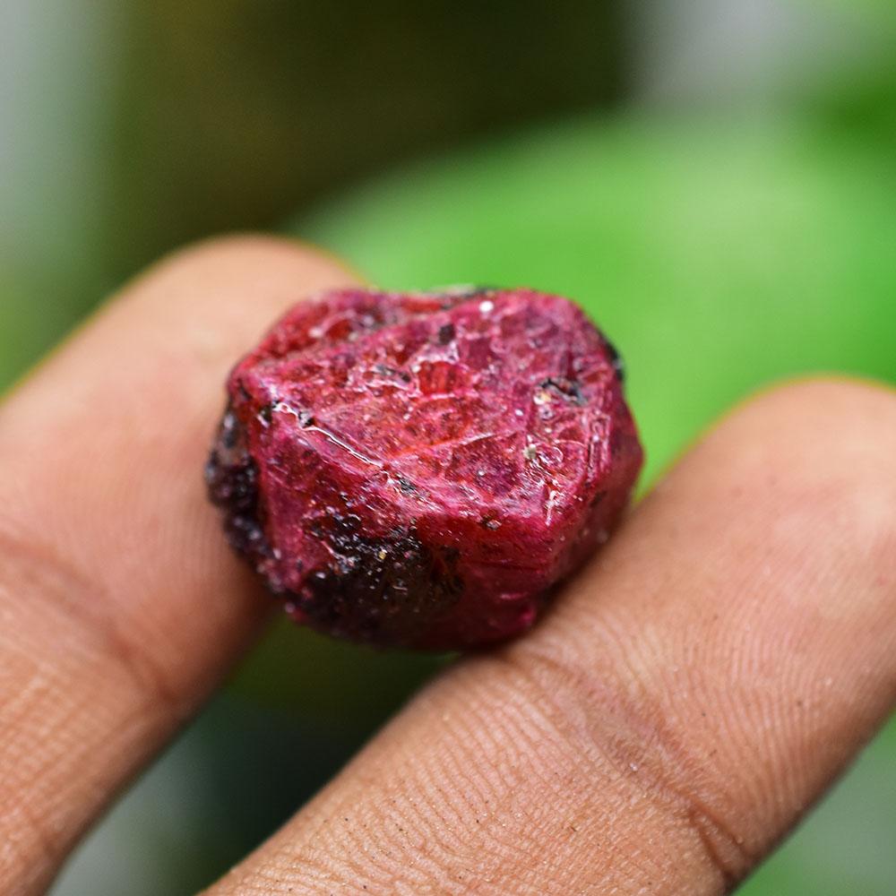 Natural Red Ruby Loose Gemstone Burmese 47 ct Uncut Raw for Lapidary and Gem Collections