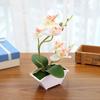 Butterfly Orchid Flower Home Office Decor with Flowerpot