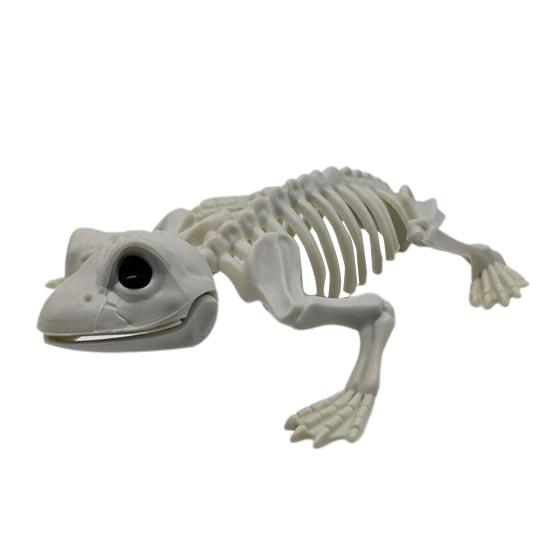 Halloweenské zvířecí kostry Pes Netopýr Žába Štír Pavouk Had Krysa Kostní kostry pro Halloweenskou párty Strašidelný dům Hřbitovní scéna Dekorace