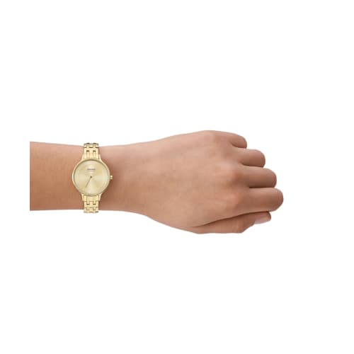 Skagen Anita Lillie Watch SKW3127 Women's Gold