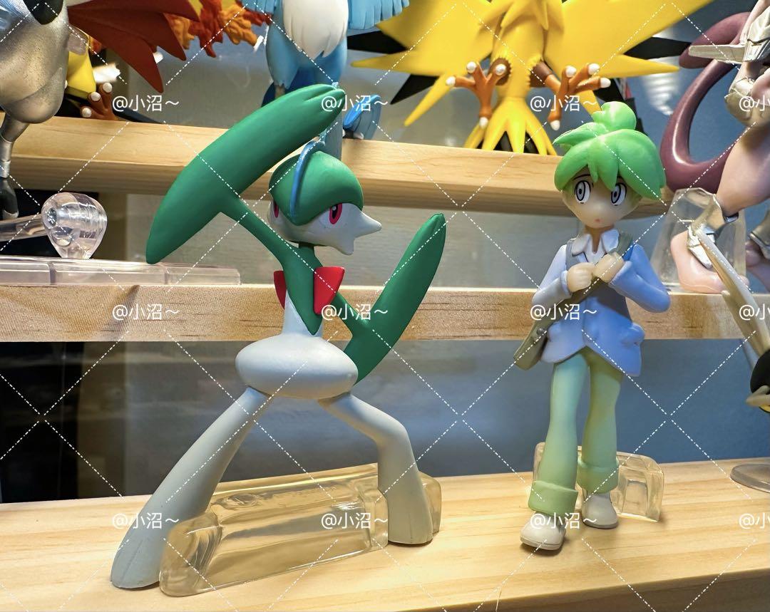 

[USED] Pokemon Scale World Mitsuru Elrayd