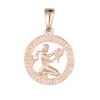FJ 12 Zodiac Sign 585 Gold Color Constellation Rose Pendants Capricorn/Gemini Twisted + 50cm Chain Women Men Zircon