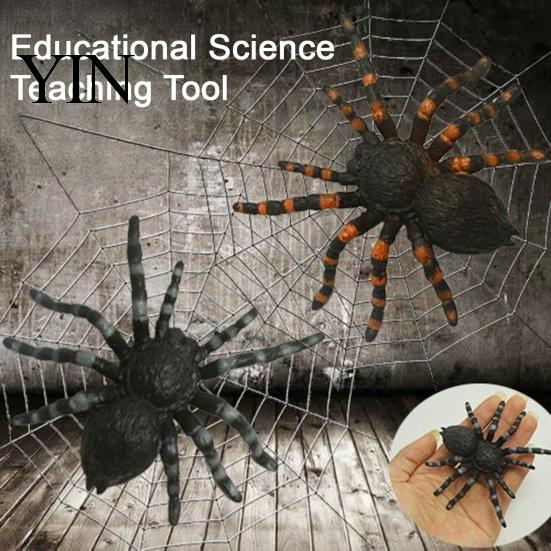 Gedetailleerd Spinnenornament voor Display Realistisch Beeldje, Levensgetrouw Nep Vogelspin Figuur, Plastic Dierlijk Arachnide Model Halloween Grappen Props,