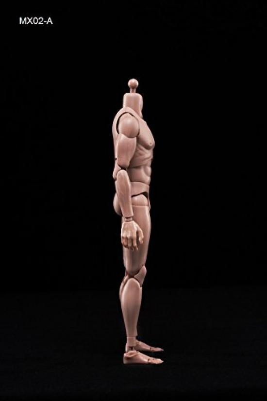 12-inch Male Body Figure, Muscular Male Body Model, Fits 16 Head Sculpt (M)