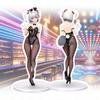 Lovely Mena Hayakawa Action Figure Anime Doll Sexy Bunny Girl Model Display