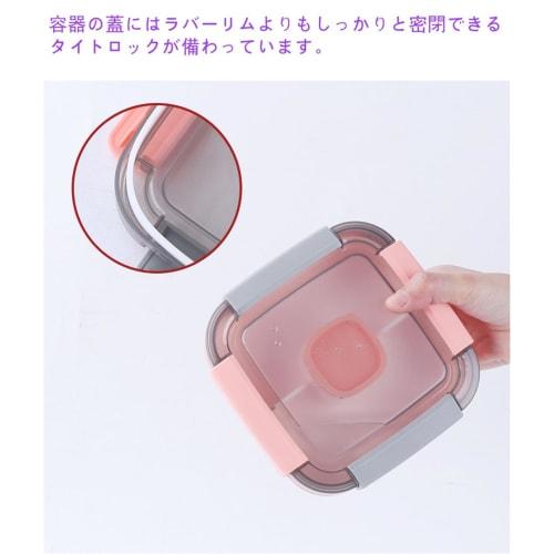 EFFORTS Bento Box, Salad Lunch Container, Portable Lunch Box, 2-Tier, Large Capacity, 1100ml, Perfect for Kids, Students, Men, Women, Commuters, and S