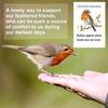 100 Pcs Funeral Seed Packets Lilly Robin Gifts Seeds Packets Memorial Funerals Favours For Guests Feed The Bird Envelopes Celebr