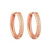 European and American Ins Style Women's Earrings, Stud Earrings with Diamonds, Fashion Accessories, Gold Earrings