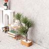 1 Stück Mikro-Landschaftsgarten Bonsai-Ornament 1/12 Puppenhaus Simulation Kieferngrün Pflanzen Bonsai-Modell Szene Dekoration