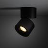 Spot Spark Black CCT 18163