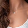 Korean Version of Dongmen Niche In Shell Collarbone Chain, Simple and Versatile Metal Scallop Pendant Necklace