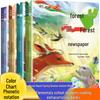 Çocuklar ve ebeveynler için – Çocuk Gelişimi