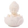 Chinese Style Buddha Ornaments Q Version Coconut Figurine Lotus Tathagata Buddha Statue  Garden
