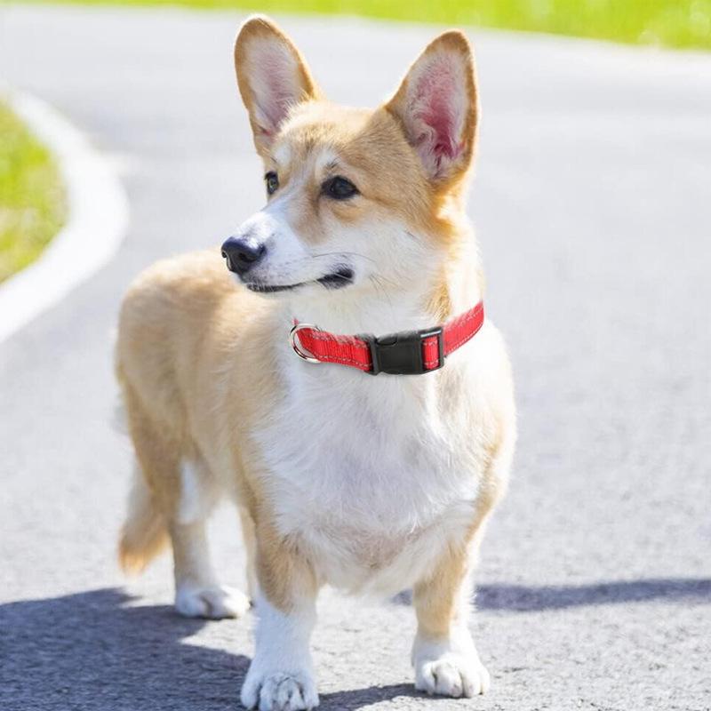 Reflective Adjustable Large Dog Collar - Non-Choke Design