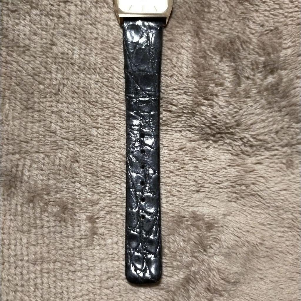 Used Orient Fuerza Luxury Watch