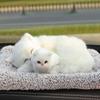 Aktivkohle Hundefigur Auto Dekoration Lufterfrischer Armaturenbrett Zubehör