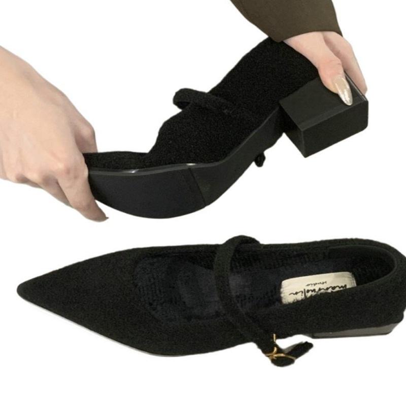 Fashion Pointed Single Shoe Women's Spring New Style French Thick Heel Shallow Mouth Shoes Elegant Low Heel Women's Shoes