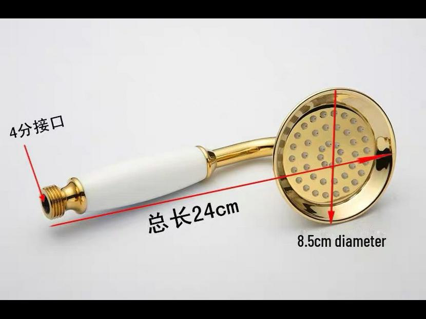 Rose Gold Stainless Steel European-Style Handheld Shower Head with Antique Black Finish