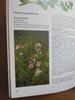 [USED] Defective Plant Encyclopedia Herbs Foreign Books HERBS Botanical Art