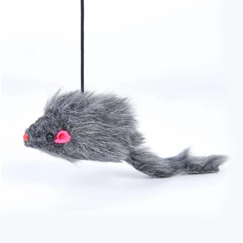 Booteely Door Hanging Cat Toy Stress Relieve Living OmDoor Hanging Toy for Living Room Hanging Kitten
