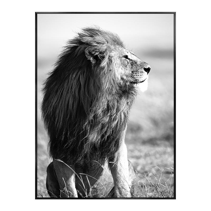 Monstera Leaf Green Plant Poster Animal Lion Leopard Horse Photos Nordic Decorative Paintings Canvas Wall Art Picture Home Decor