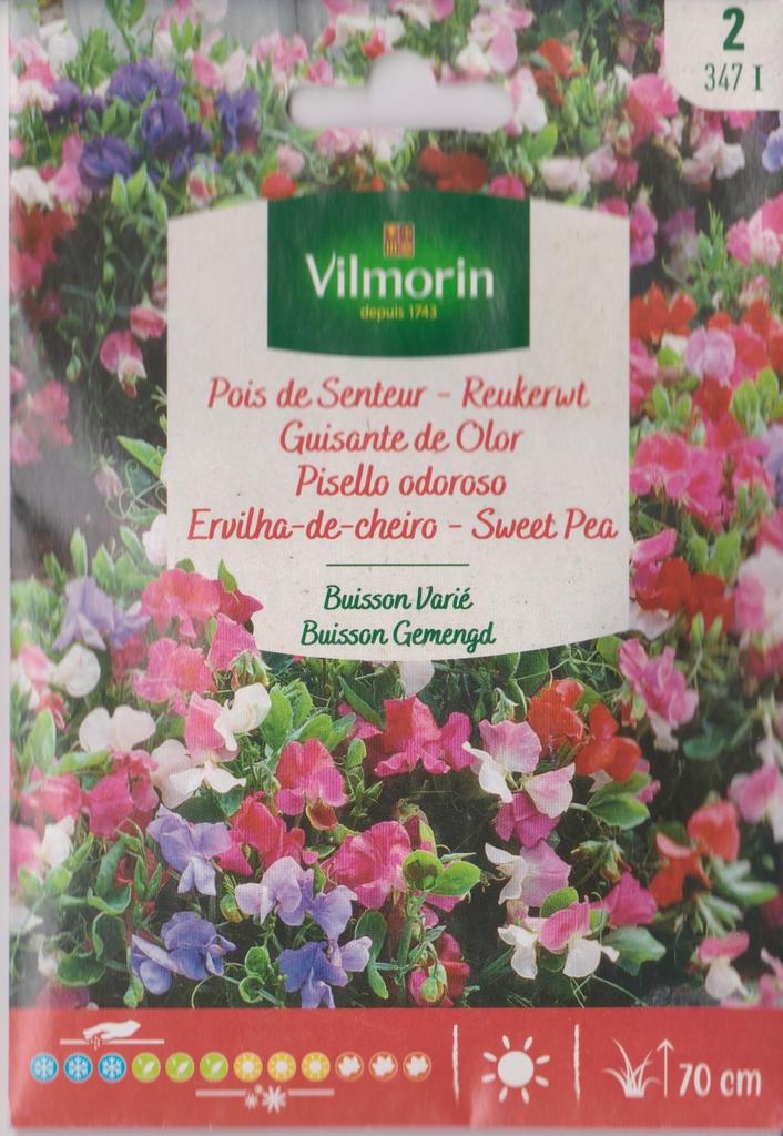 Semillas de guisante de olor
