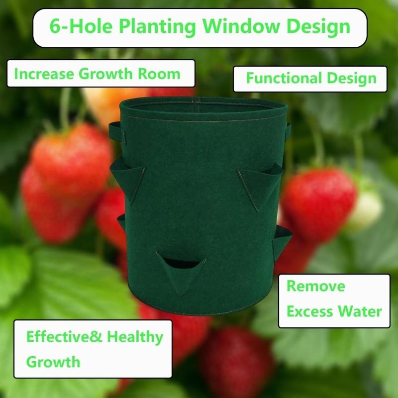 Premium Felt Strawberry Planter Grow Bag Fruit Vegetable Growing Bags 6 Holes