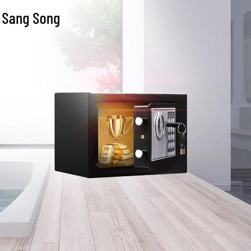 Electronic Password Anti-theft Safe