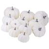 12Pcs White Artificial Pumpkins Assorted Bulk Table Decor Lifelike for All Hallows Day Fall Harvest 