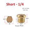 Pneumatic Exhaust Muffler Silencer M5 1/8 1/4 3/8 1/2 3/4 BSP Male Thread For Air Noise Brass Adjustable Long Short BSL SLM SLL