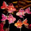 Peixes e animais aquáticos – Decoração de aquário