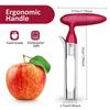 Stainless Steel Apple Corer, Fruit Corer Remover Tool, Kitchen Gadgets