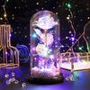 Rose Flower Gifts for Her Mom Wife Grandma Light Up Eternal Rose in A Dome Romantic Gift for Anniversary Birthday Valentine's Day Christmas