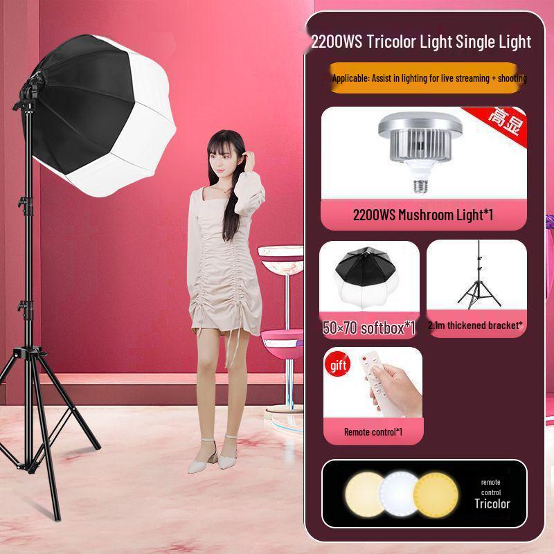 2200WS Super Bright Spherical Fill Light for Live Beauty, Photography, and Indoor Clothing Shoots
