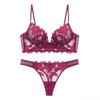 Women Lace Lingerie Set Elegant Sexy Bra Set See Through Underwear Ventilate Ladies Bra and Panty Set
