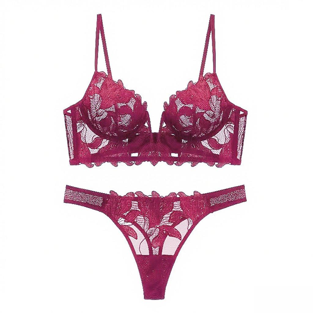 Women Lace Lingerie Set Elegant Sexy Bra Set See Through Underwear Ventilate Ladies Bra and Panty Set
