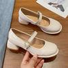 Women Pumps 2025 New Mary Jane Shoes for Women Belt Buckle Small Leather Shoes for Women Thick Heels High Heels Shoes for Female