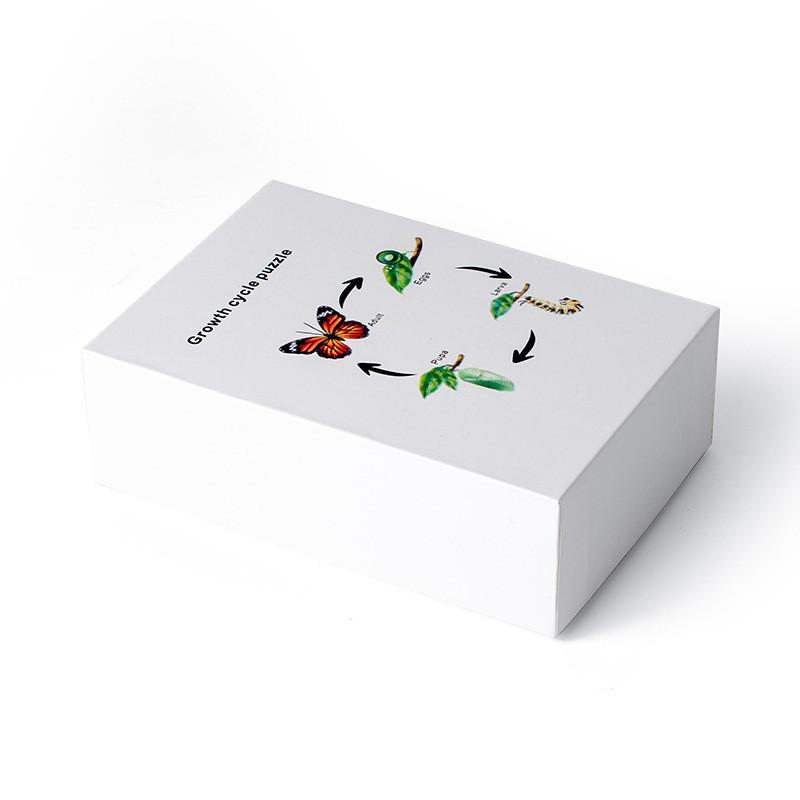 

Wooden Insect Growth Cycle Puzzle For Early Education And Cognitive Development Insect