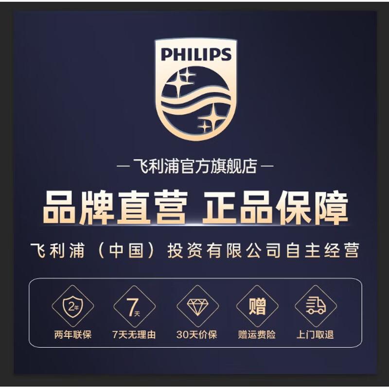 Philips Portable Sonic Electric Toothbrush