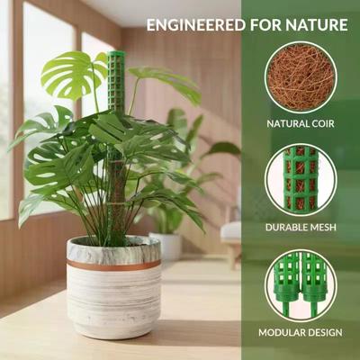 Plant Climbing Frame Plant Moss Poles Plant Stakes Indoor Plants Moss Poles For Monstra Plants Water Moss Poles Green Dill Vine