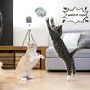 2-teiliges interaktives Katzenspielzeug-Set, rollender Ball & spielzeugförmige Maus, farbenfrohes, federbetriebenes, automatisches Haustier-Spielzeug