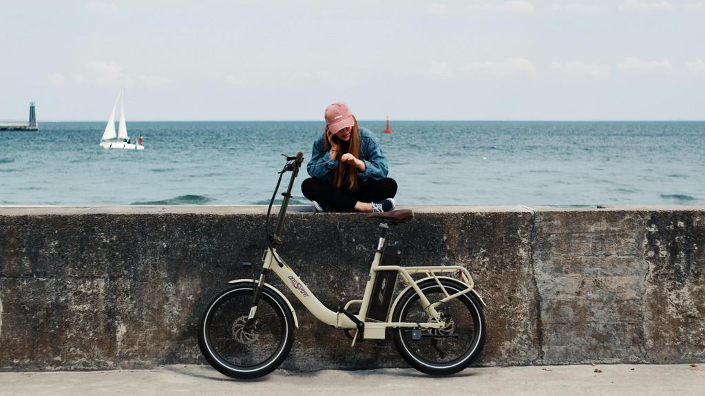 OneSport OT16-2 Folding Electric Bike 20*3.0 Tires 250W Motor 48V17Ah Battery 25km/h Speed 120KM Max Range City Commute Ebike