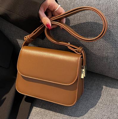 This Year's Popular Niche Design Bag Women's Autumn Versatile New 2025 Crossbody Small Bag High-end Shoulder Small Square Bag