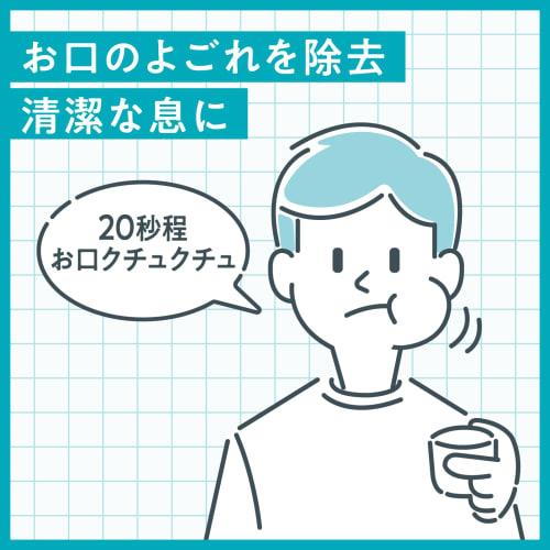 Earth Chemical Damon Relax Mint Mouthwash, 380ml