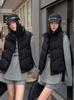 Women's 2026 Autumn/Winter Cotton Vest: Versatile, Loose Fit, Stand Collar Gilet Outerwear Trendy Design