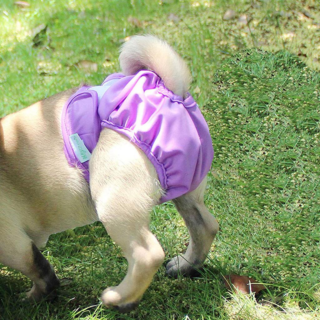 Pet Physiological Pants Reusable Bitches Dog Diapers Super Absorbent Diapers For Dogs Dog Diapers Thermal Underpants For Dogs Dog Diapers