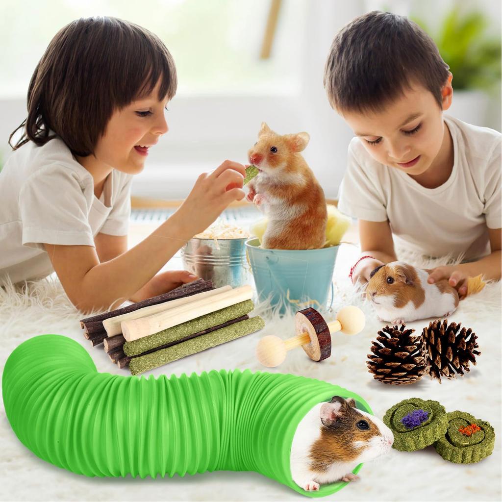 Hamster Toys Set with Tunnel Chewable Wood Timothy Hay Guinea Pig Enrichment Chew Toys for Small Animals Small Animal Chew Toys